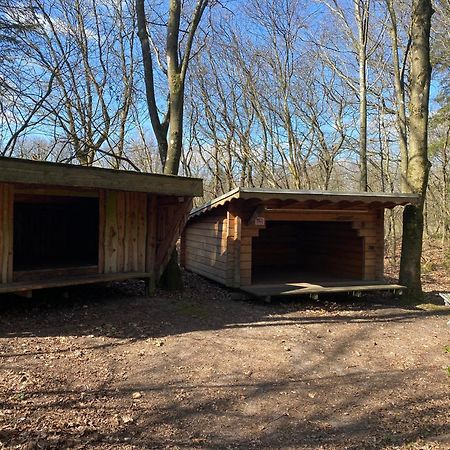 Krogager Primitiv Camping - Krogen Grindsted Esterno foto
